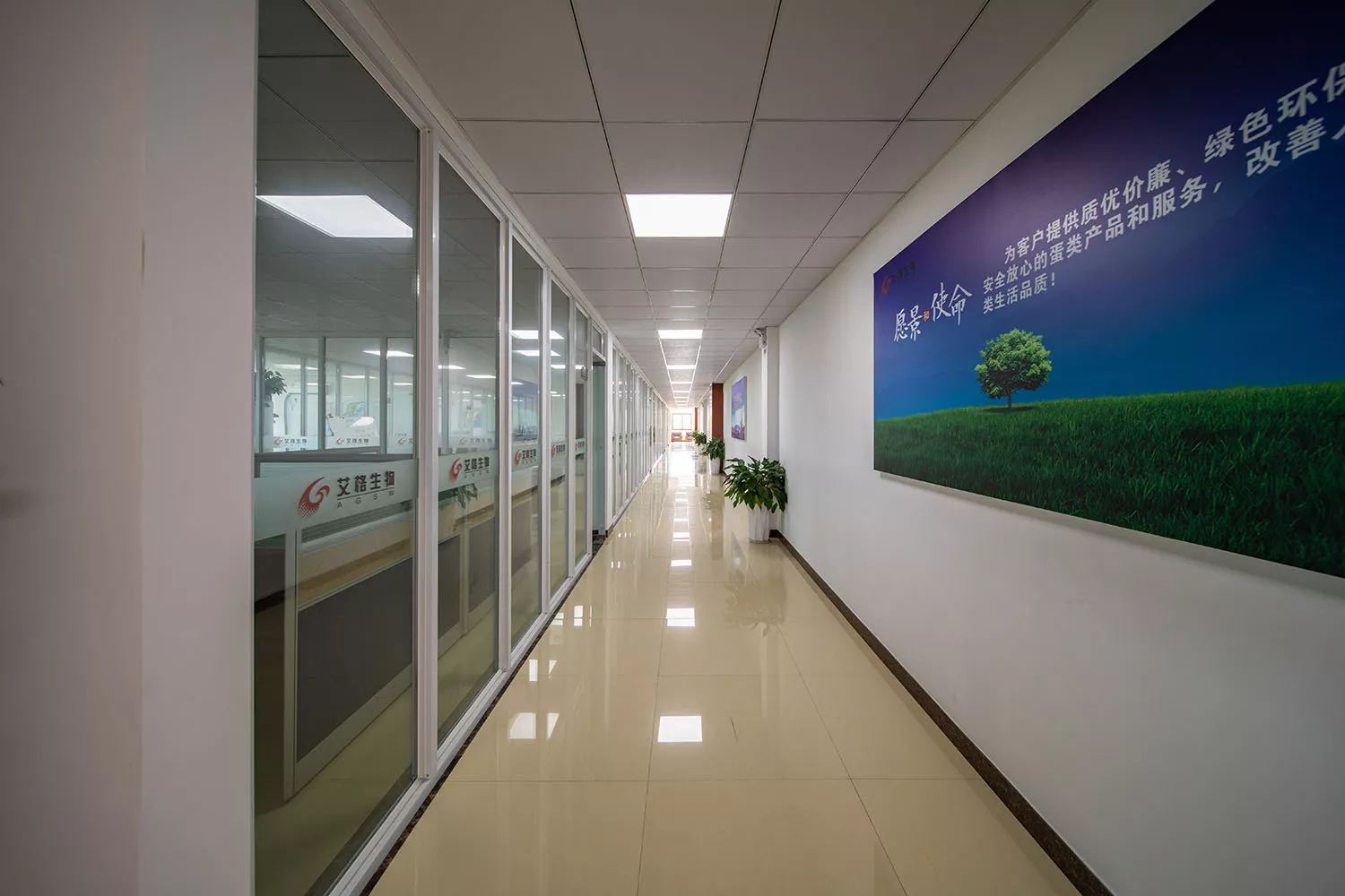 CA7A2622-HDR.jpg